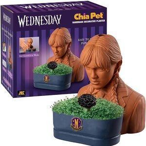 Chia Pet Wednesday with Seed Pack, Decorative Pottery Planter NEW in box